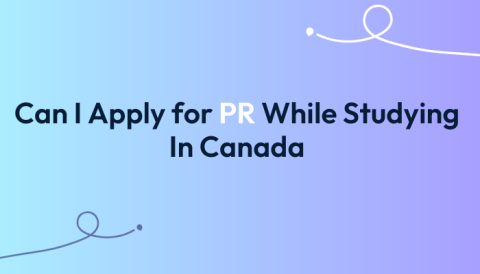 Can I Apply for PR While Studying in Canada?
